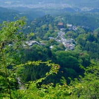 新緑の吉野山を訪ねました