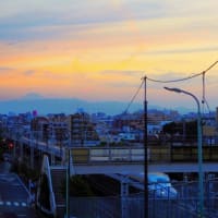 👼🐉東京〖夕焼け空〗と《富士山》雄姿《新幹線》光景!!