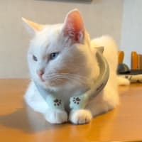 じめじめ暑い！