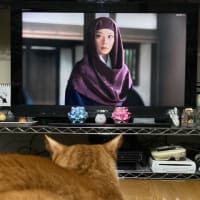 こだわりの注目ポイント