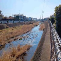 境川沿いを散歩！