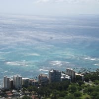ハワイ移住の物語 Part2