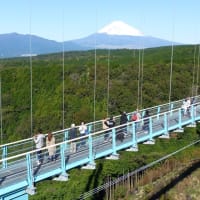 三島スカイウォーク～日本最長の歩行者用吊り橋