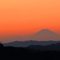 【三条大塚山から霊峰富士山のゴールデンアワーの眺め】