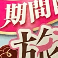 猫だけ旅気分～静岡～