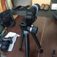 アマゾンプライムセールでポチッたもの　その1
