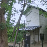 明治記念大磯邸園見学