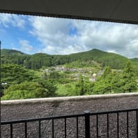 タケヤブカレタ