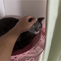 それぞれ寝ｗ