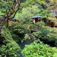 ほたる狩り〜うかい鳥山