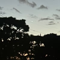 今日いち-2024年11月6日