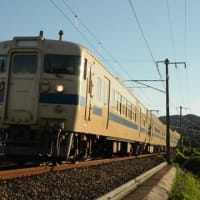 山陽本線115系N編成　夕日受けて輝く　2024-09-12