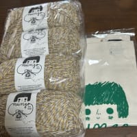 EYLUL yarnsさんからすぐ届きましたKONATSU kit