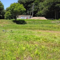 休耕田の草刈り
