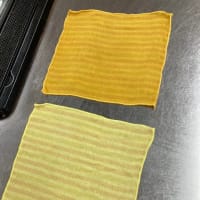 草木染めを楽しむ！