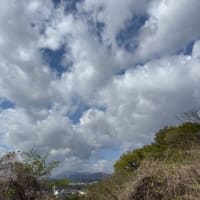 鎮・散歩。〜相模原市中央区田名〜