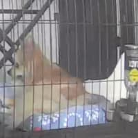 眠い眠い
