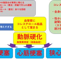 炎症ーコレステロールと中性脂肪