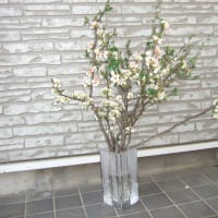 ボケの花