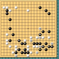 第３７期名人戦第６局～羽根直樹の碁も天ぷら蕎麦も復活～