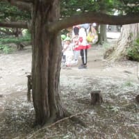 道庁前庭