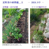 夏野菜の畝整備＿２　　－ 2024.5中 －