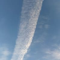 珍しい雲