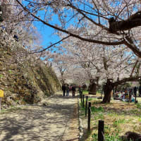 はてなブログ　『不思議と幸せ』と・・・