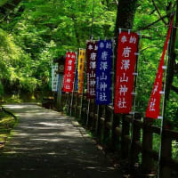 佐野市「唐沢山神社」風鈴参道を記録してきた。