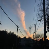 早朝ウォーキング
