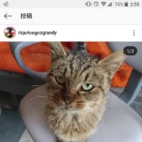(;´༎ຶٹ༎ຶ`)姫にゃんが、、、