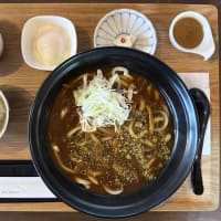 山椒カレーうどん専門 國三郎＠真備町「山椒カレーうどん」