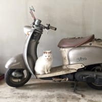 身体の仕組み。世の中の仕組み。