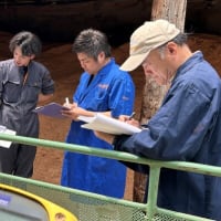 第13回全国和牛能力共進会北海道大会に向けた24ヶ月早期肥育試験巡回が開催されました。