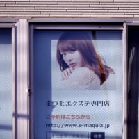 久々に会いたい（危険な美しさ）