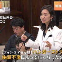 参政党が日本維新の会の予備選で落選して次の参院選に出られなくなって離党した梅村みずほ議員を参院選比例区で公認。ＮＨＫ党に続いて参政党も「政界の吹き溜まり」こと日本維新の会以下のセーフティネットに(笑)