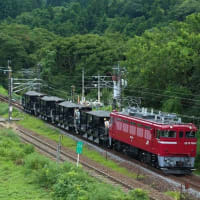 惰性な2263日目　75祭り