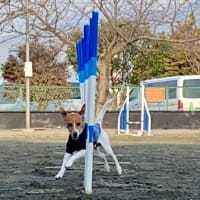 早朝自主練