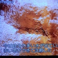グレートネイチャー「彩りの島　台湾」より