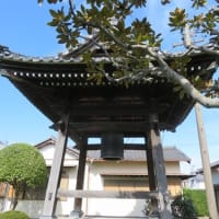 焼津市の徳川家康ゆかりの地(2)教念寺