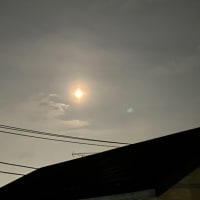 お月さまは綺麗に撮れず