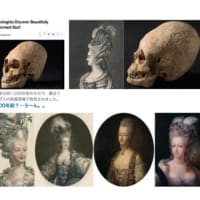 その日トランプは秘密裏に戴冠式を行い👑そしてメラニア夫人がダイアナ妃であることが明かされました😋アーサー王の剣エクスカリバーが2016年9月2日にトランプタワーに届けられたことをご存知ですか