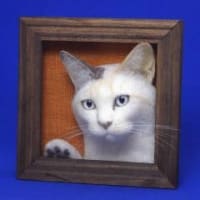シロのヘッドモデル壁掛けタイプ