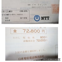 期日前投票に行きました