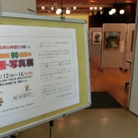 「元気な長寿の仲間たち展12」と「第13回宝彩会作品展」を見てきました