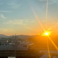 もうすぐ活動再開します、ただし控えめ