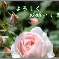 はじめまして