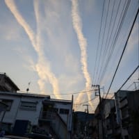 今宮神社