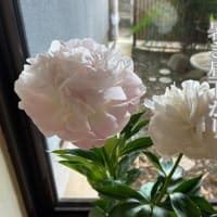 月涼し