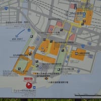 長い間お疲れ様でした松山・小倉フェリー２０２５年６月３０日で航路廃止